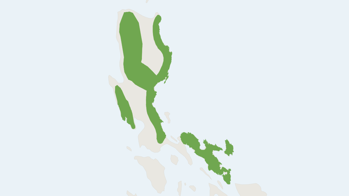 Range map of the Small Luzon Apomys (Apomys microdon) covering Philippines