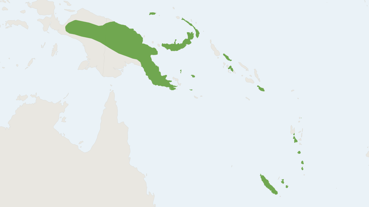 Range map of the Small Melanesian Bent-winged Bat (Miniopterus macrocneme)