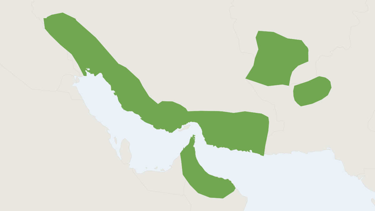 Range map of the Small Mouse-tailed Bat (Rhinopoma muscatellum)