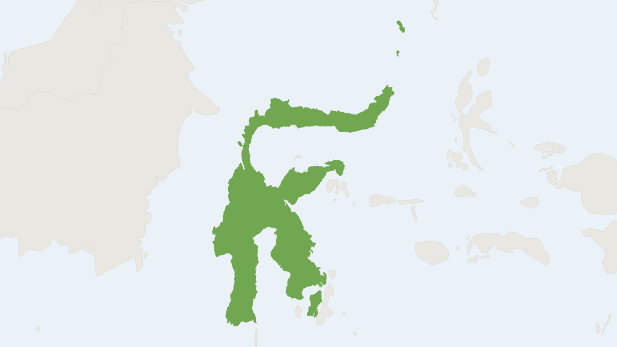 Range map of the Small Sulawesi Cuscus (Strigocuscus celebensis)