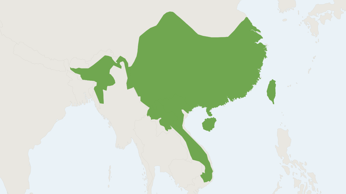 Range map of the Small-toothed Ferret Badger (Melogale moschata)