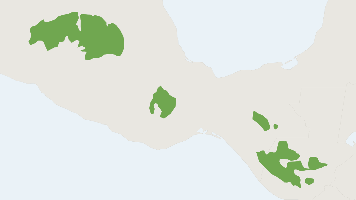 Range map of the Small-toothed Harvest Mouse (Reithrodontomys microdon)