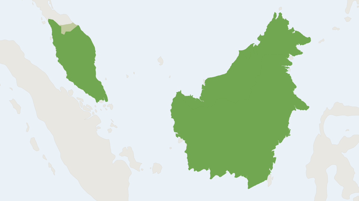 Range map of the Small Woolly Bat (Kerivoula intermedia)