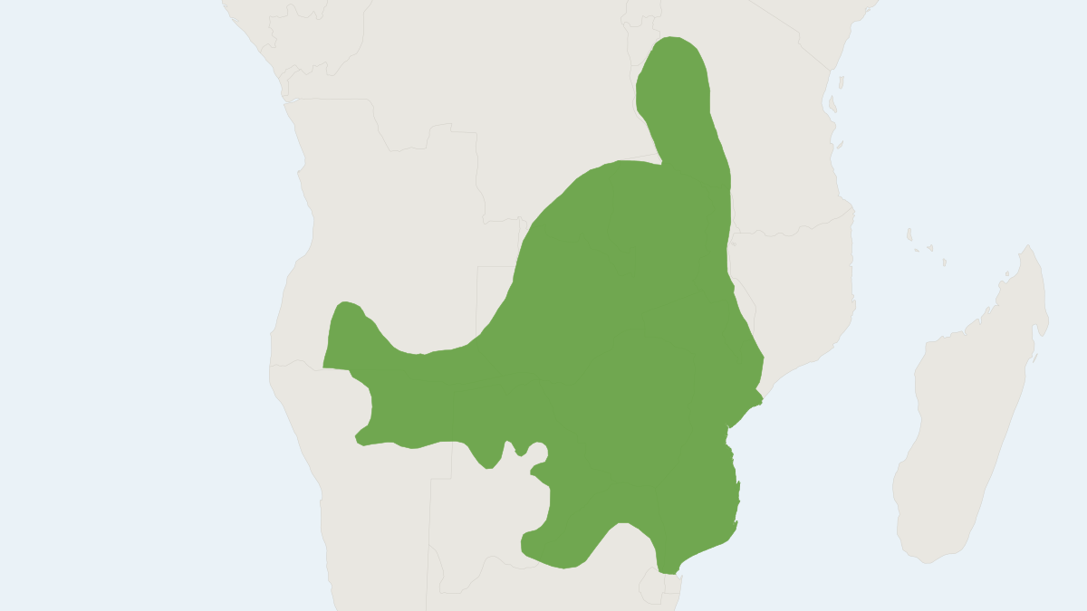 Range map of the Smith's Bush Squirrel (Paraxerus cepapi)