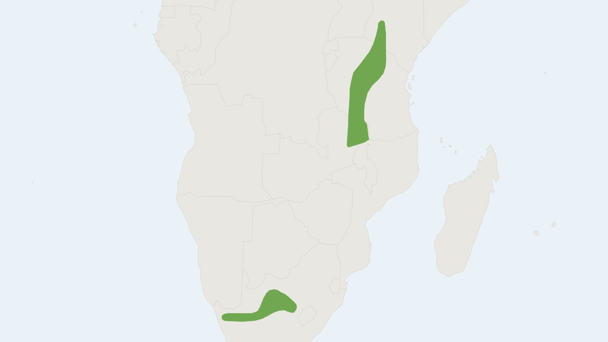 Range map of the Smith's Red Rock Hare (Pronolagus rupestris)