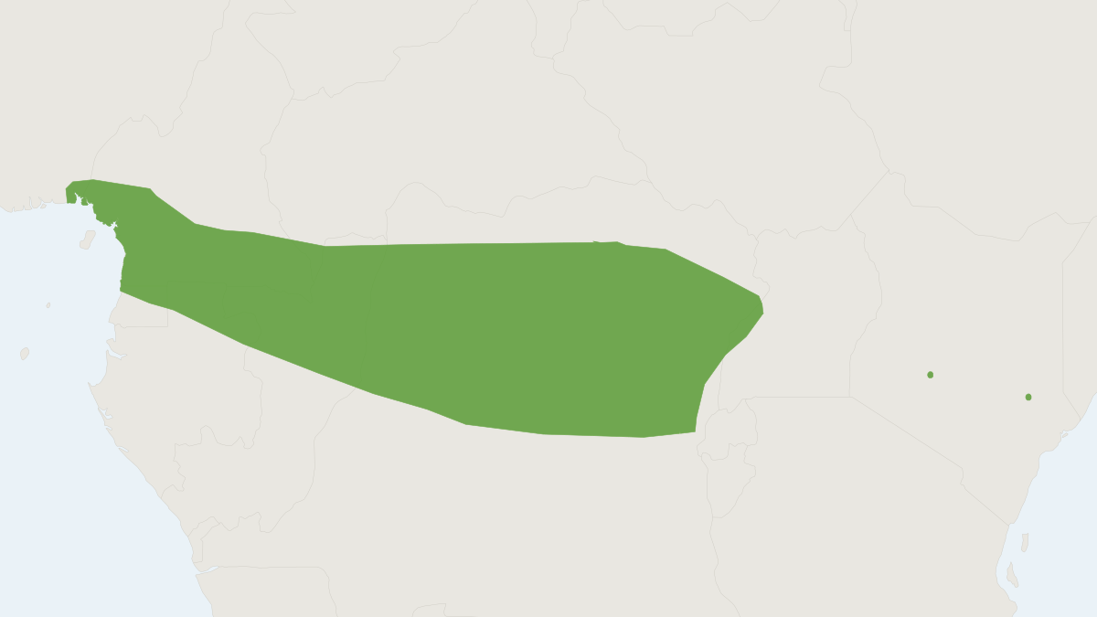 Range map of the Smith's Woolly Bat (Kerivoula smithii)