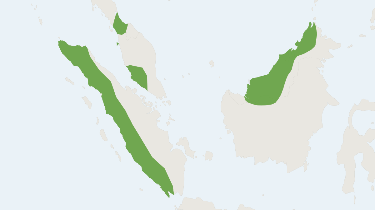 Range map of the Smoky Flying Squirrel (Pteromyscus pulverulentus)