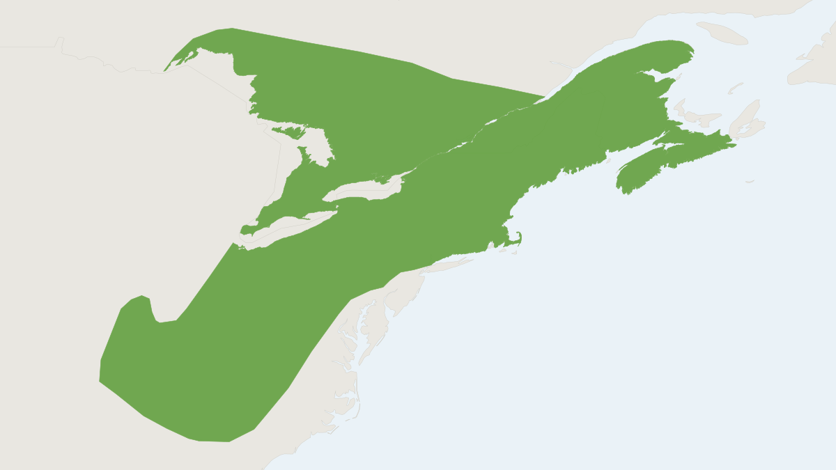 Range map of the Smoky Shrew (Sorex fumeus)