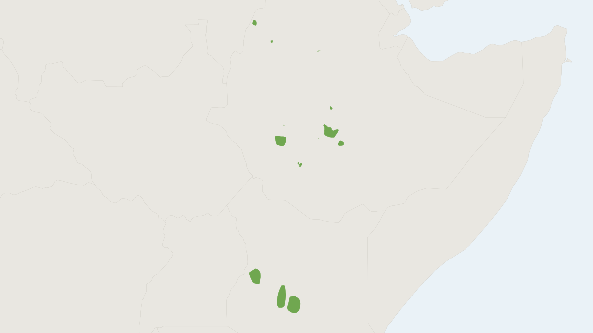 Range map of the Smoky White-toothed Shrew (Crocidura fumosa) covering Burundi, Democratic Republic of the Congo and Rwanda