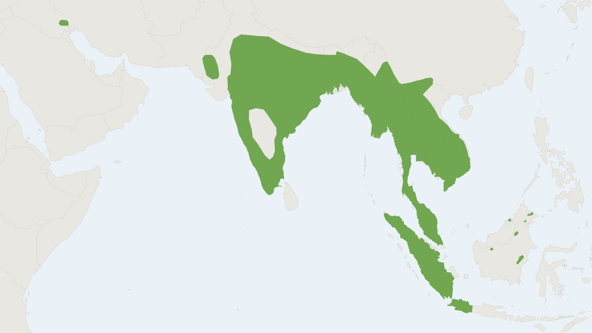 Range map of the Smooth-coated Otter (Lutrogale perspicillata)