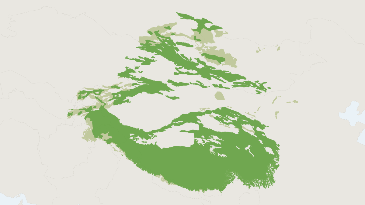 Range map of the Snow Leopard (Panthera uncia) covering Afghanistan, Bhutan and China