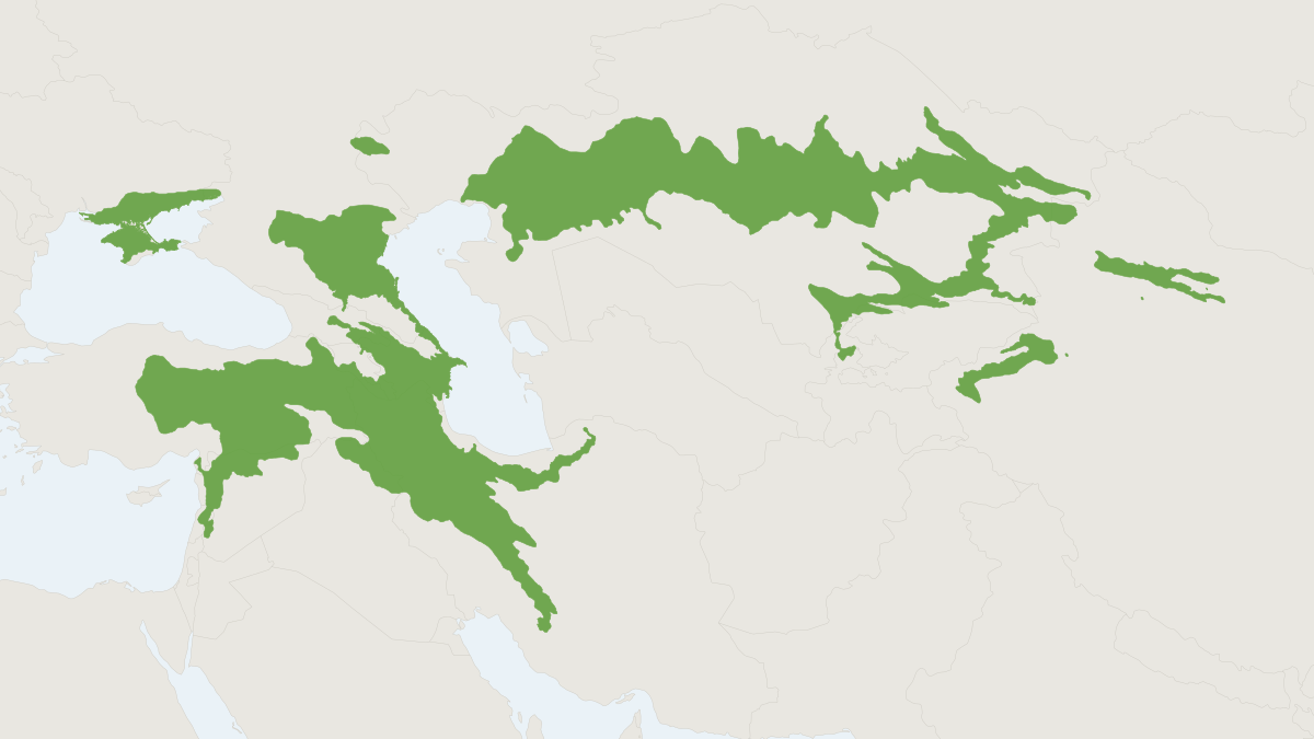 Range map of the Social Vole (Microtus socialis)