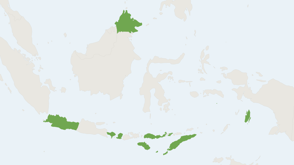 Range map of the Sody's Yellow House Bat (Scotophilus collinus)