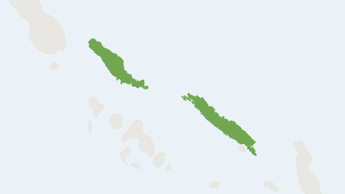 Range map of the Solomons Free-tailed Bat (Mops solomonis) covering Papua New Guinea and Solomon Islands