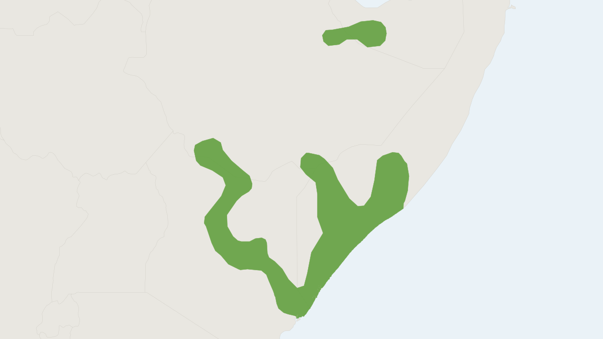 Range map of the Somali Lesser Galago (Galago gallarum)