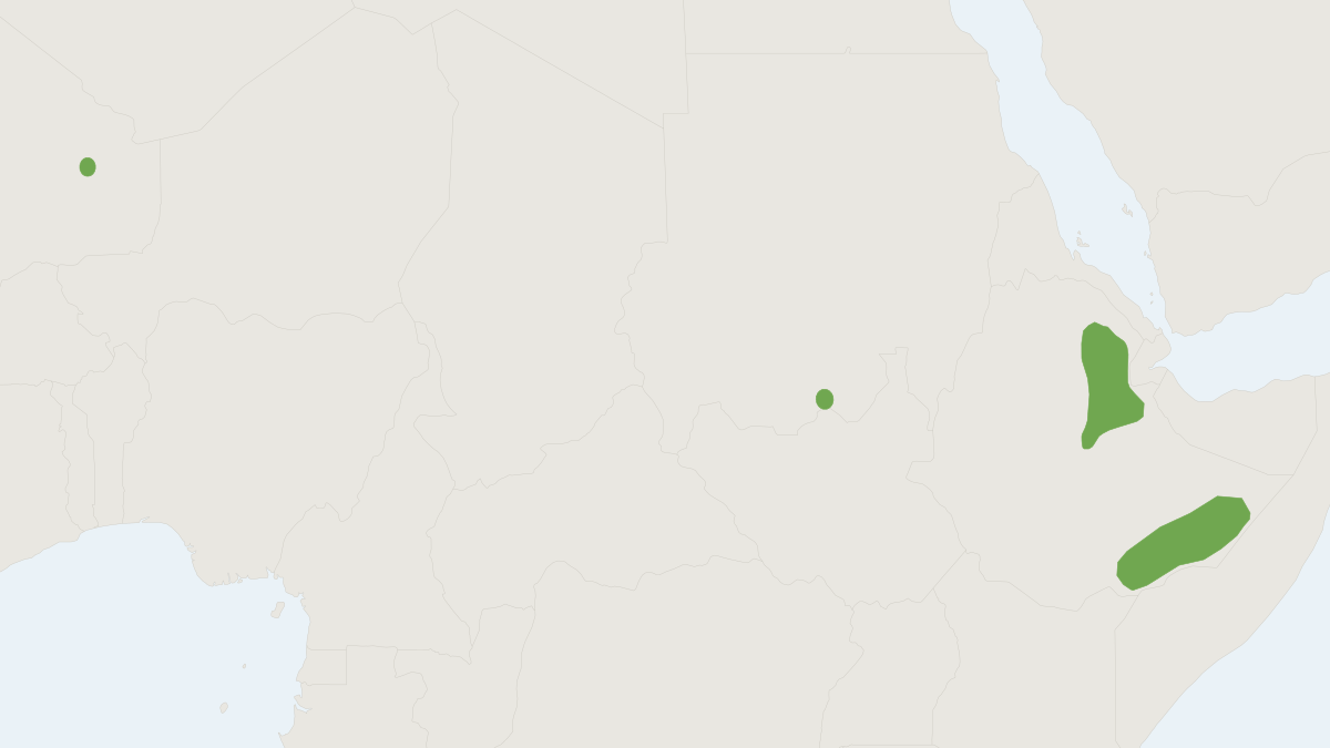 Range map of the Somali Shrew (Crocidura somalica)