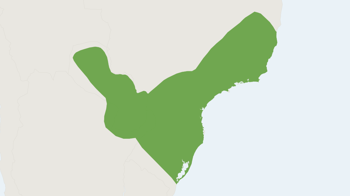 Range map of the Sooretamys angouya (Sooretamys angouya)