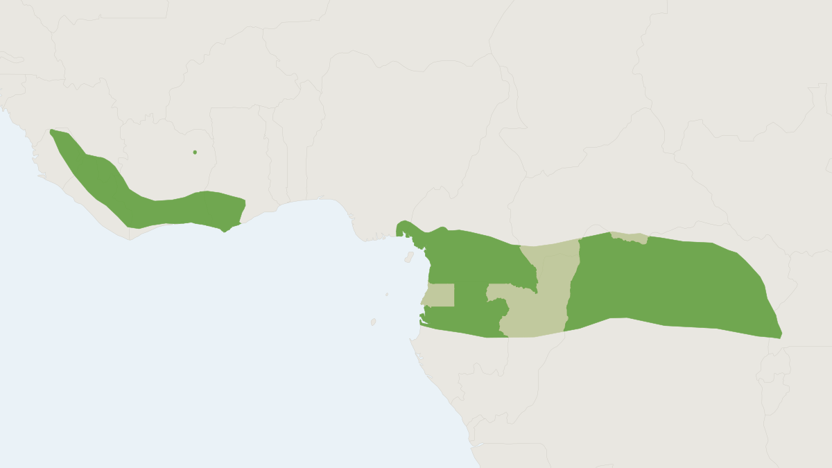 Range map of the Sooty Roundleaf Bat (Hipposideros fuliginosus)