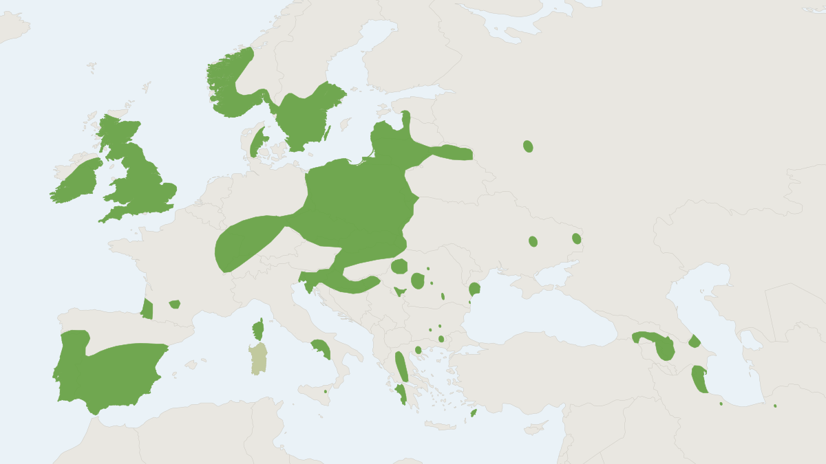 Range map of the Soprano Pipistrelle (Pipistrellus pygmaeus)