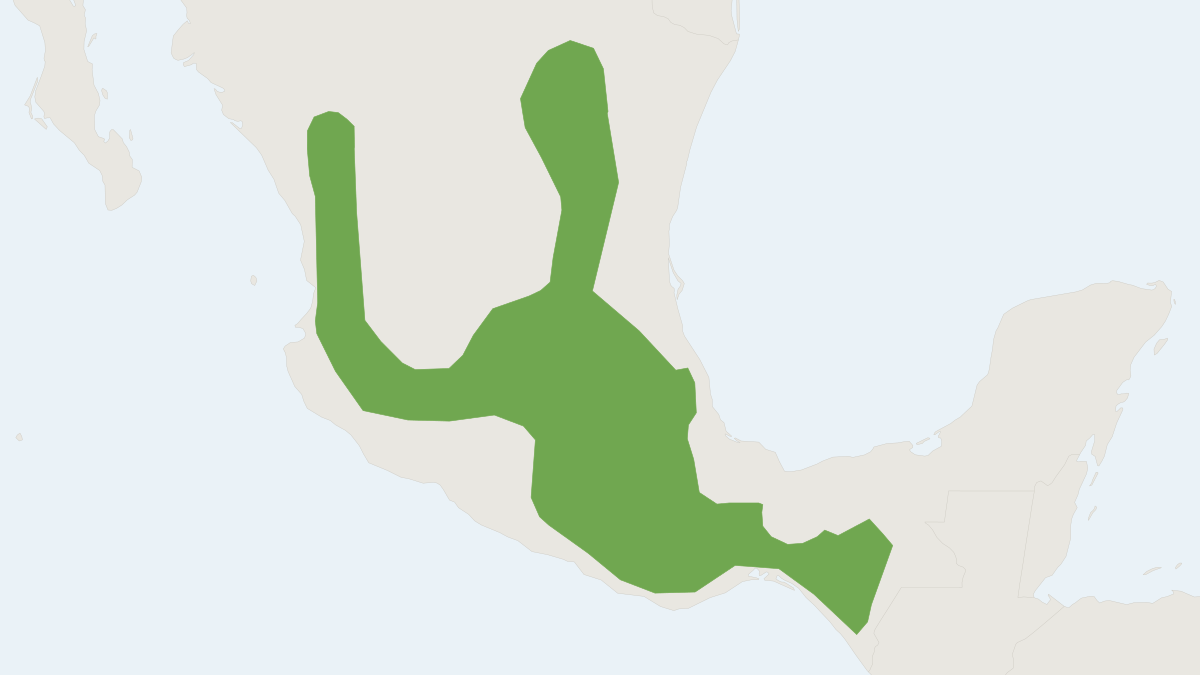 Range map of the Sorex veraecrucis (Sorex veraecrucis)