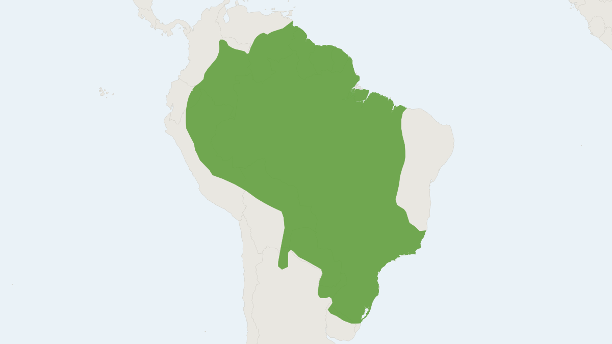 Range map of the South American Coati (Nasua nasua) covering Argentina, Bolivia and Brazil