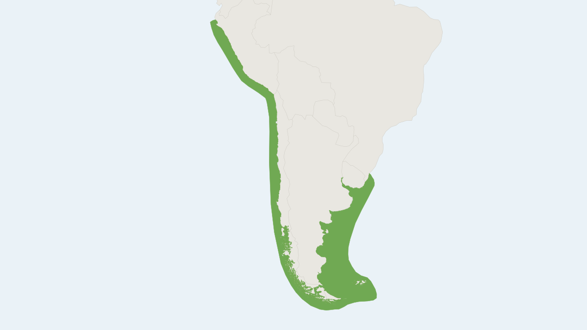 Range map of the South American Sea Lion (Otaria byronia)