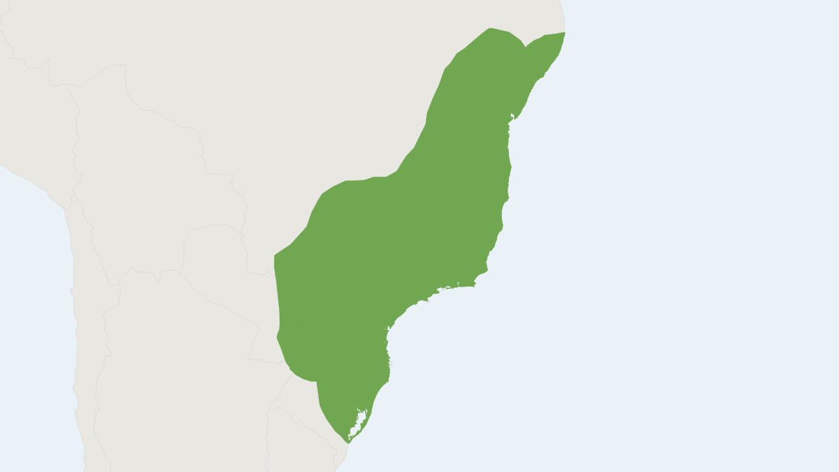 Range map of the South American Water Rat (Nectomys squamipes)