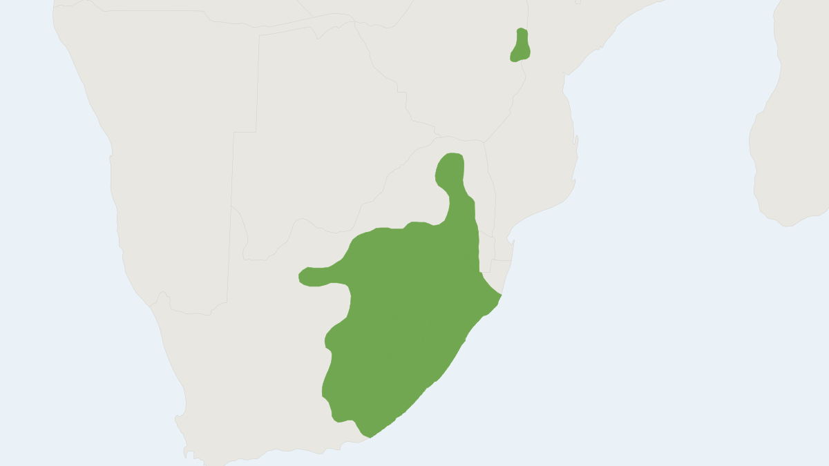 Range map of the South East African Vlei Rat (Otomys auratus)