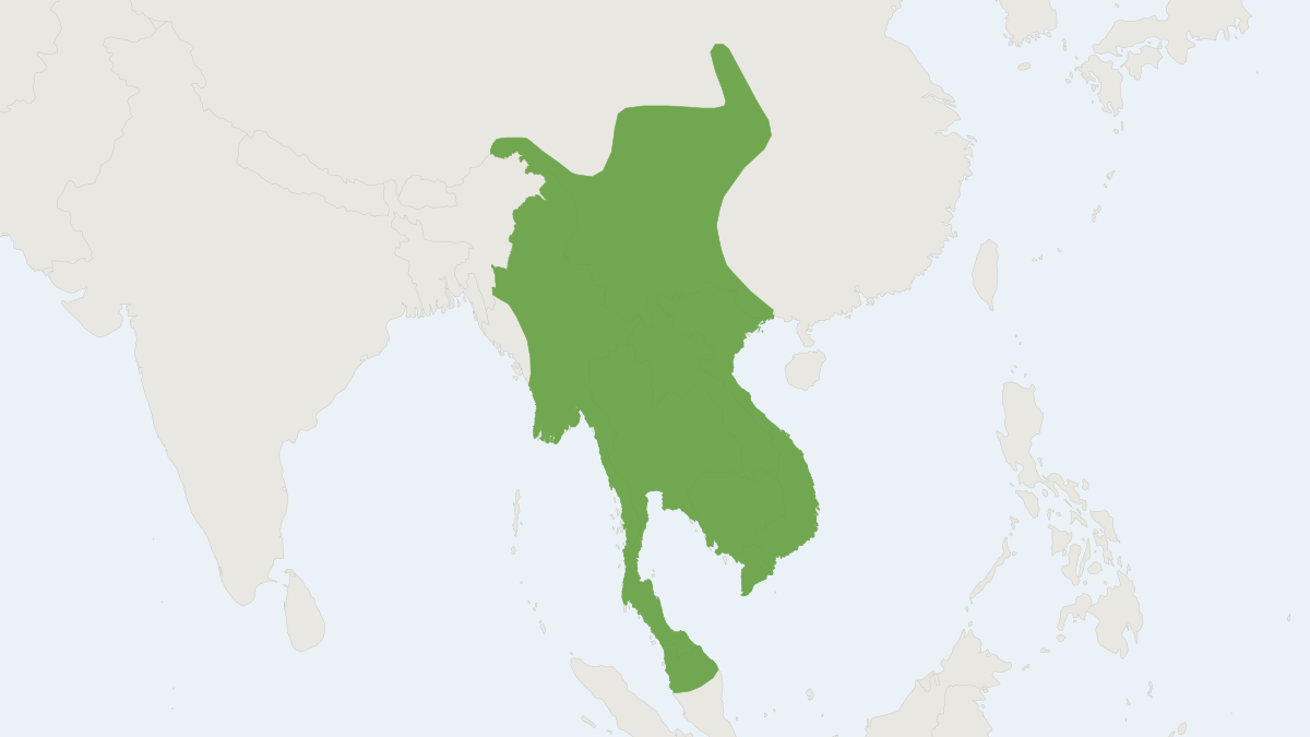 Range map of the Southeast Asian Shrew (Crocidura fuliginosa)