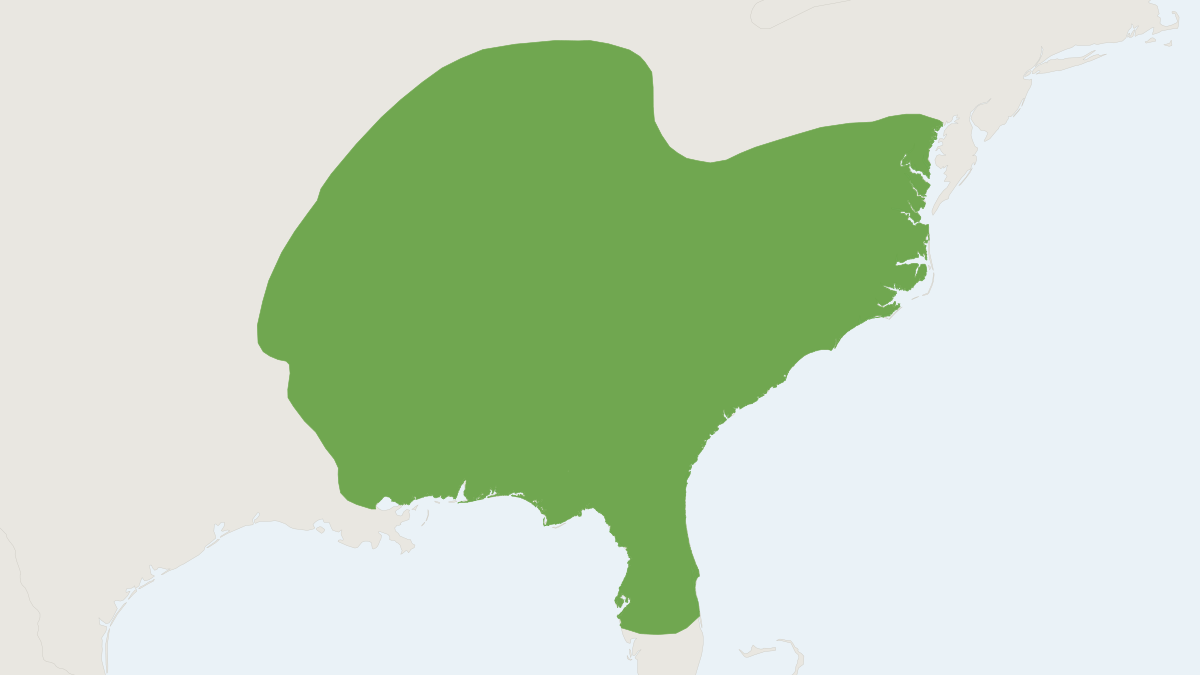 Range map of the Southeastern Shrew (Sorex longirostris)