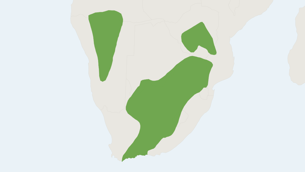 Range map of the Southern African Multimammate Mouse (Mastomys coucha)