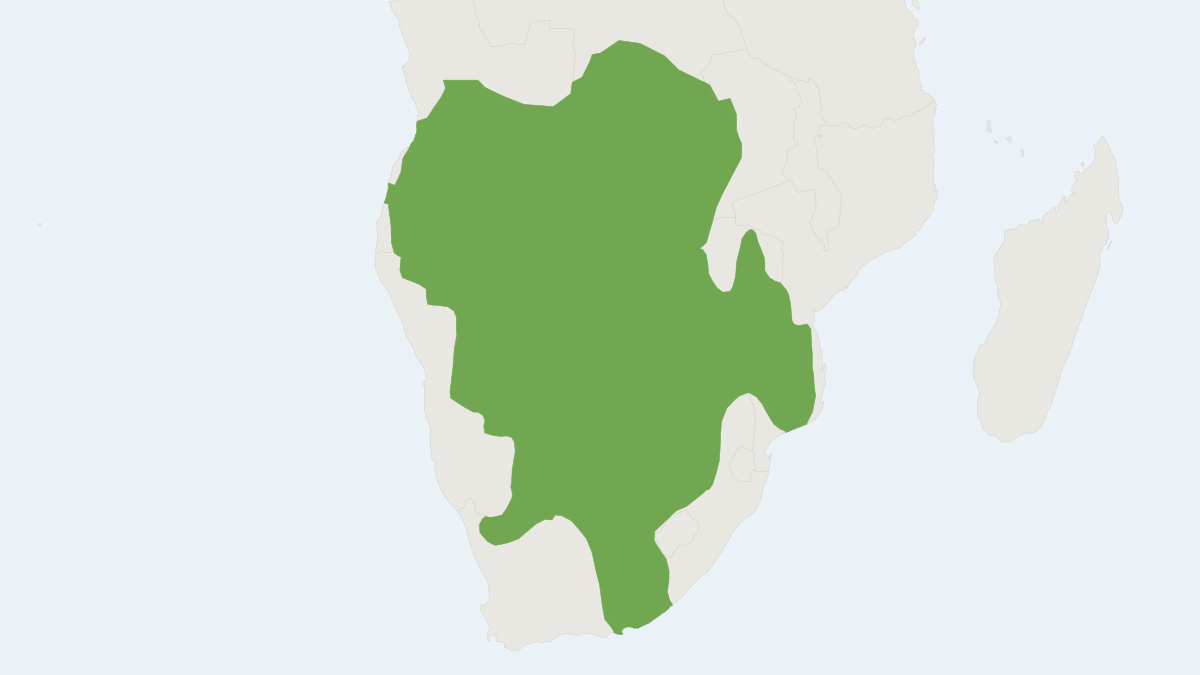 Range map of the Southern African Springhare (Pedetes capensis)