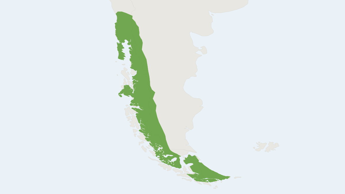 Range map of the Southern Big-eared Brown Bat (Histiotus magellanicus)