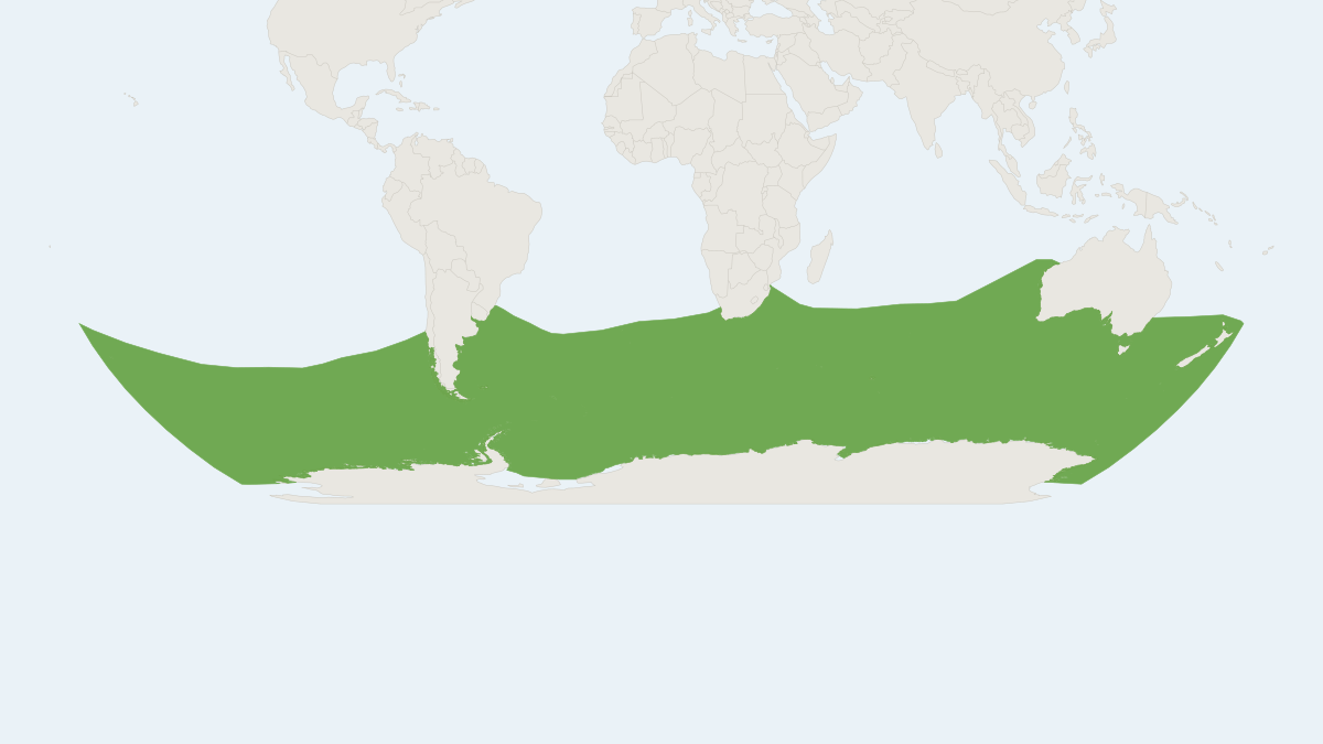 Range map of the Southern Bottlenose Whale (Hyperoodon planifrons)