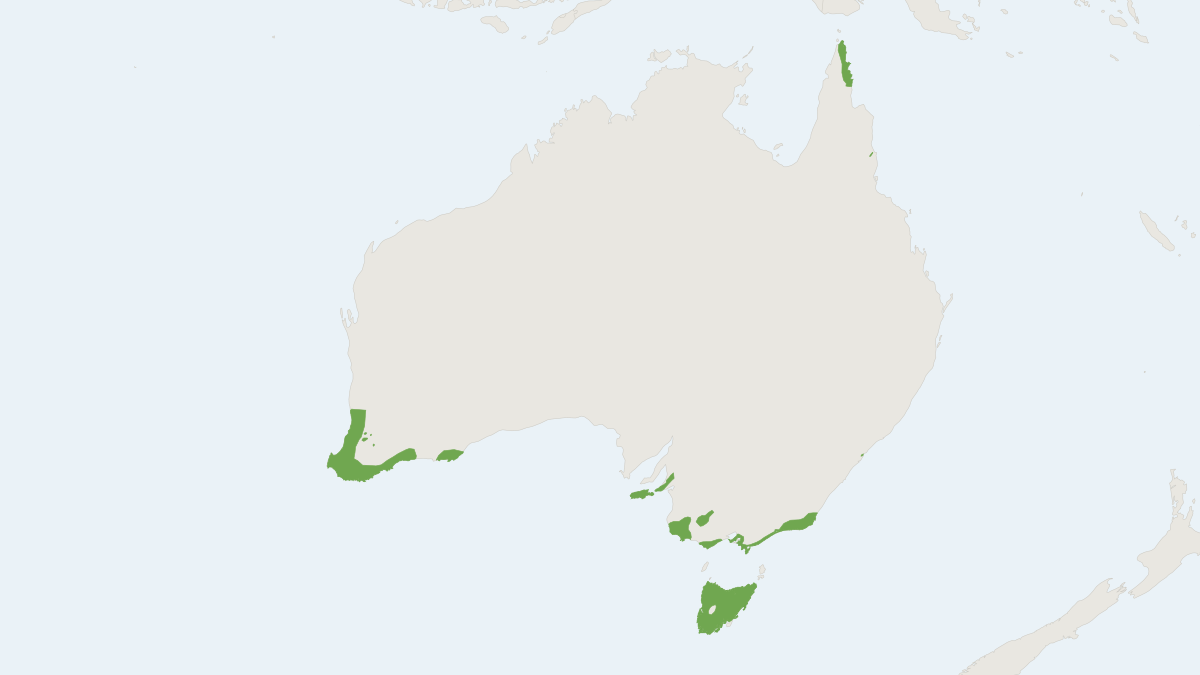 Range map of the Southern Brown Bandicoot (Isoodon obesulus)