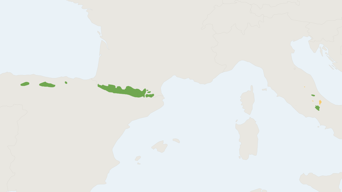 Range map of the Southern Chamois (Rupicapra pyrenaica)