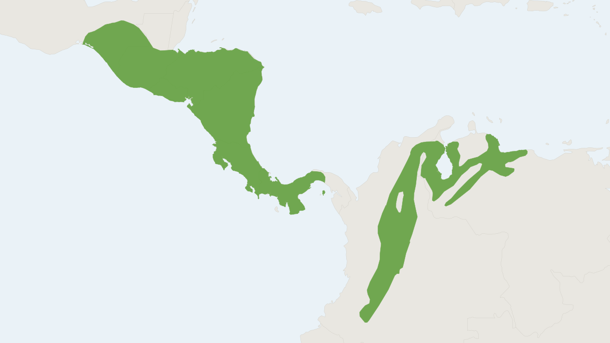 Range map of the Southern Cotton Rat (Sigmodon hirsutus)