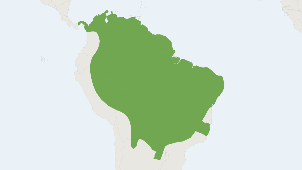 Range map of the Southern Dog-faced Bat (Cynomops planirostris)