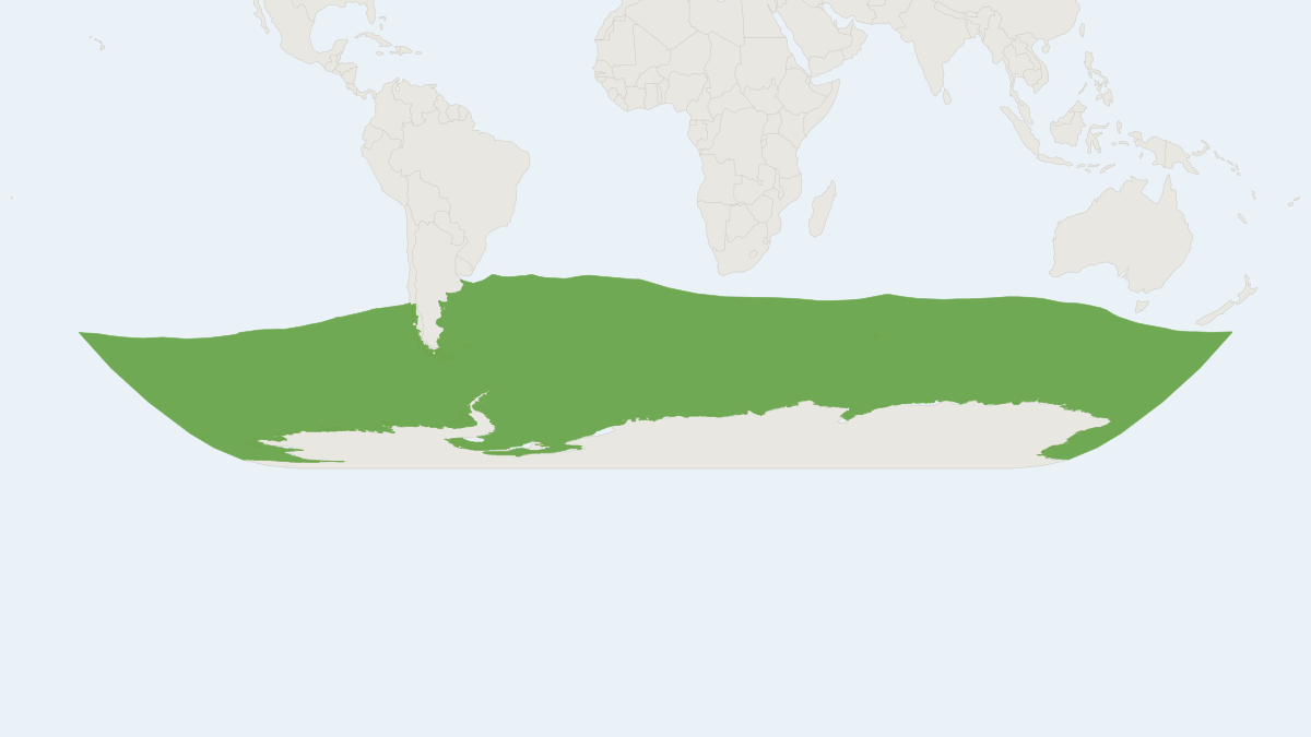 Range map of the Southern Elephant Seal (Mirounga leonina) covering Argentina and Georgia