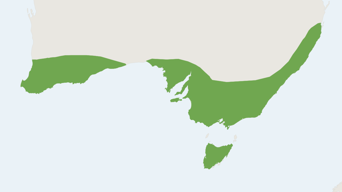 Range map of the Southern Forest Bat (Vespadelus regulus)