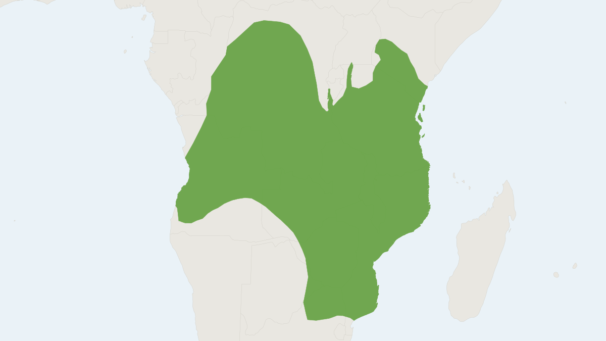 Range map of the Southern Giant Pouched Rat (Cricetomys ansorgei)