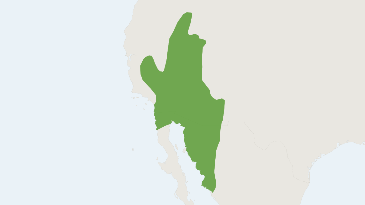 Range map of the Southern Grasshopper Mouse (Onychomys torridus)