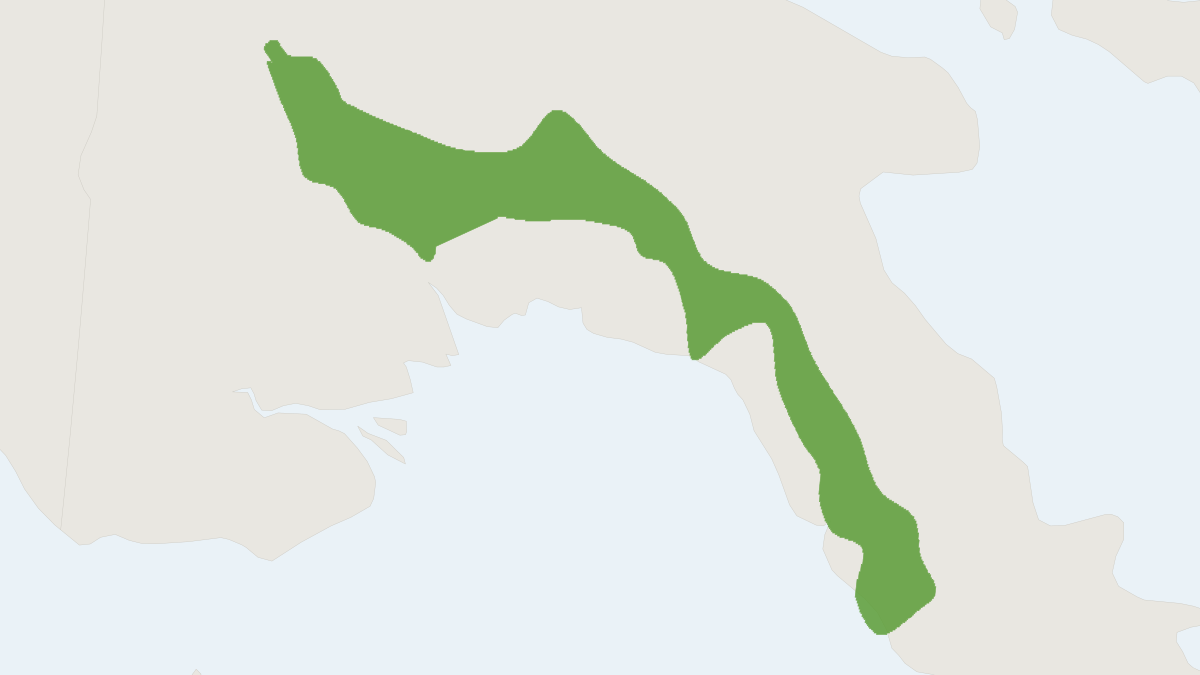 Range map of the Southern Groove-toothed Shrew Mouse (Microhydromys argenteus)