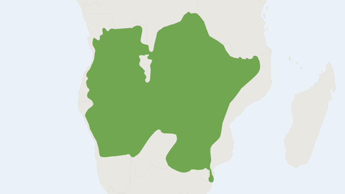 Range map of the Southern Lesser Galago (Galago moholi)