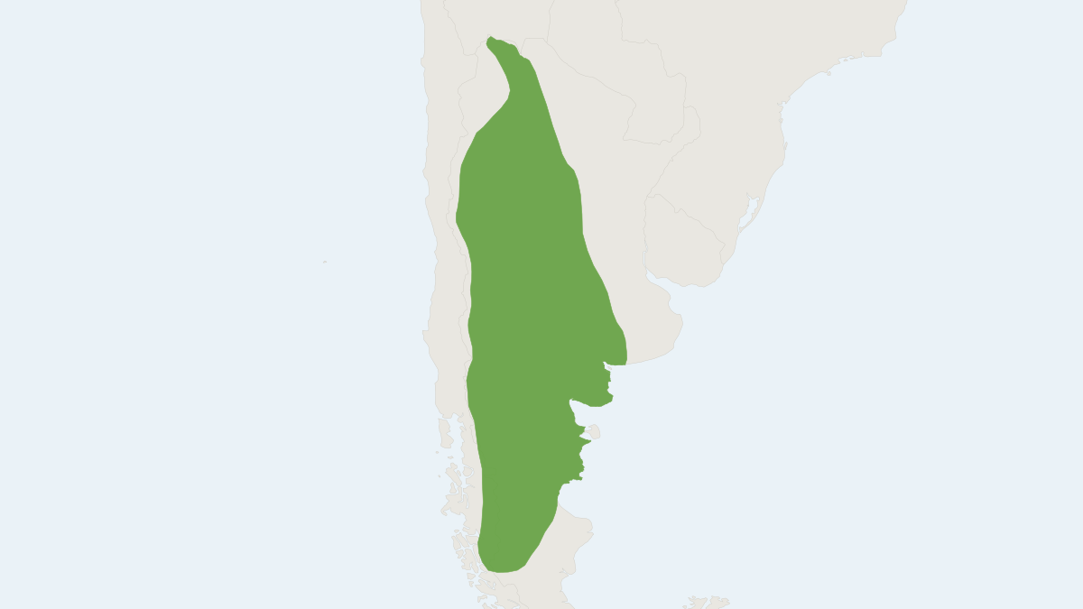 Range map of the Southern Mountain Cavy (Microcavia australis)