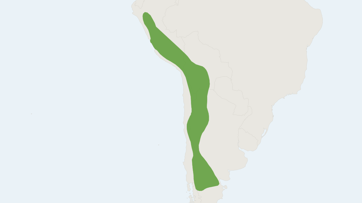 Range map of the Southern Mountain Viscacha (Lagidium viscacia)