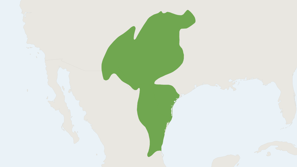 Range map of the Southern Plains Woodrat (Neotoma micropus)