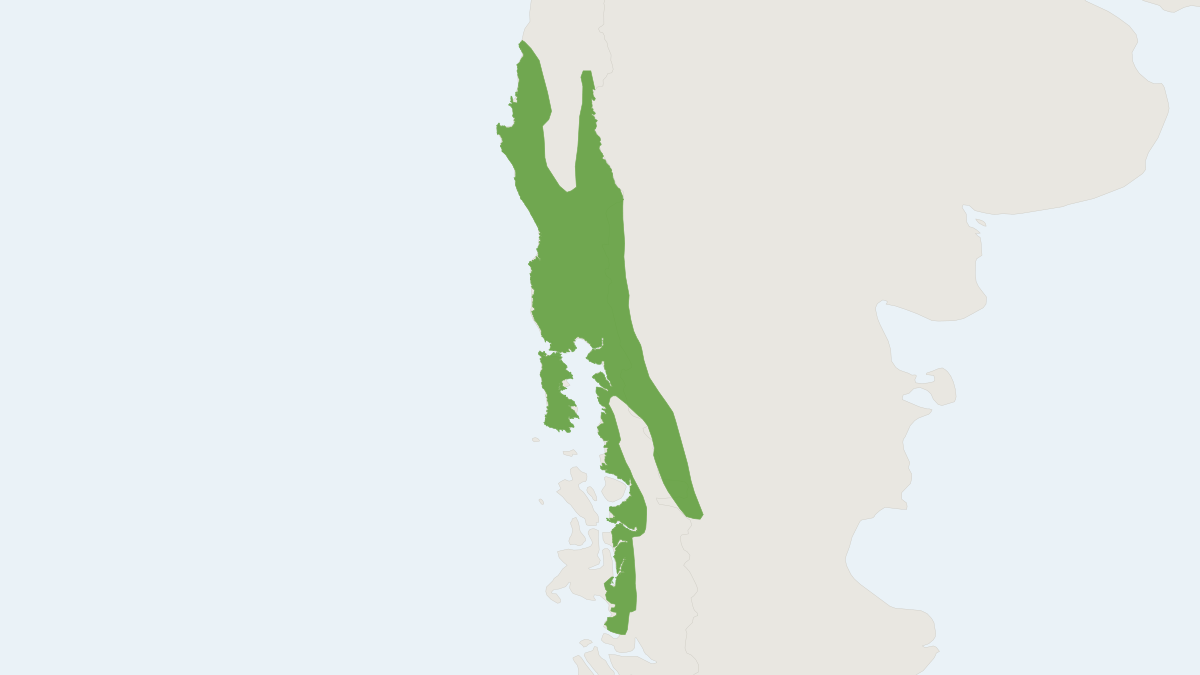 Range map of the Southern Pudu (Pudu puda)