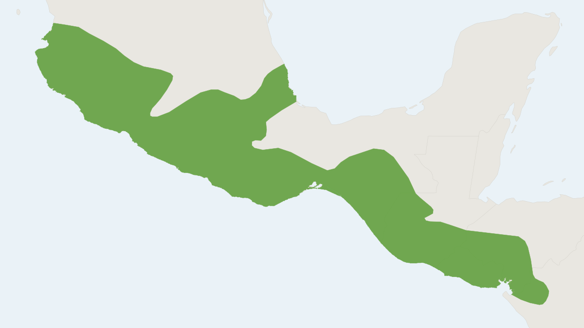 Range map of the Southern Pygmy Mouse (Baiomys musculus) covering El Salvador, Guatemala and Honduras