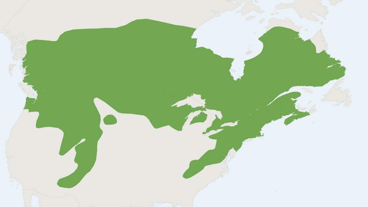 Range map of the Southern Red-backed Vole (Clethrionomys gapperi)